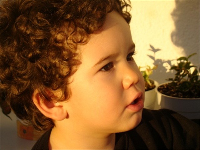 divi mu se 1